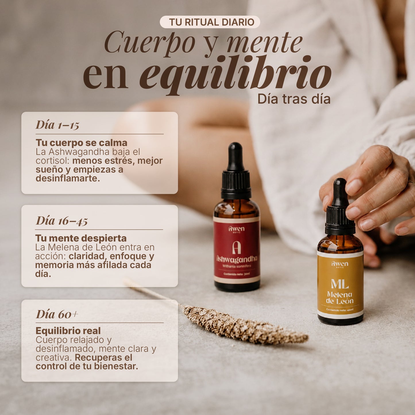 Pack Ashwagandha + Melena de León