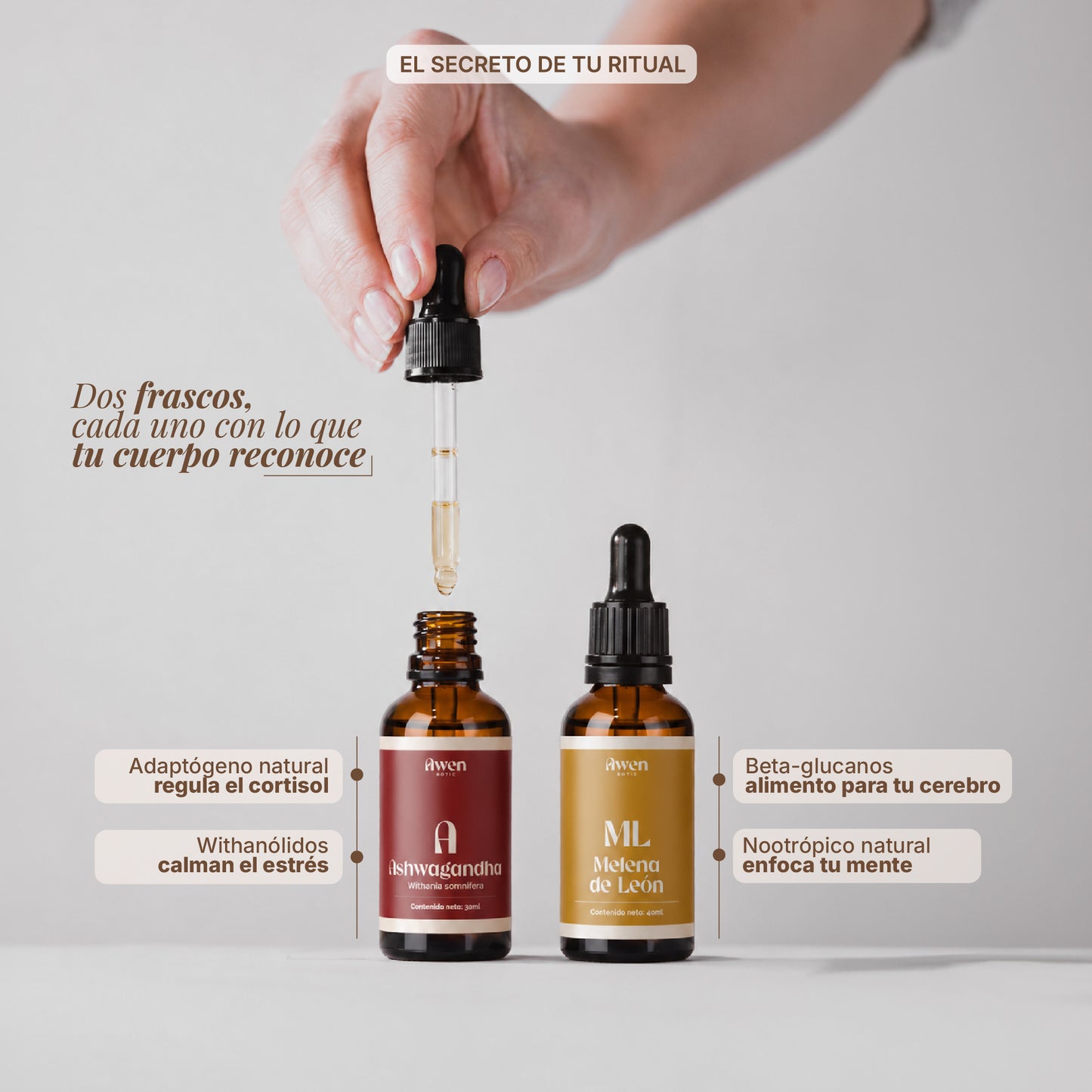 Pack Ashwagandha + Melena de León